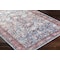 Livabliss Georgina GOR-2304 Machine Washable Area Rug GOR2304-679 - alternate 2